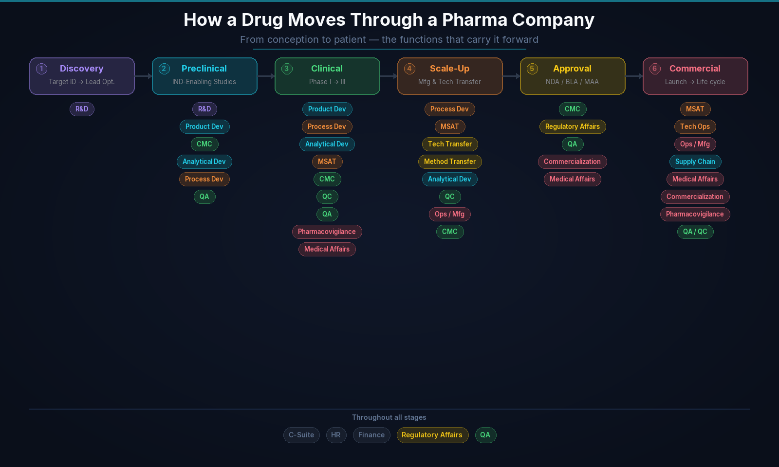 Pharma company functions pipeline from discovery to commercialization